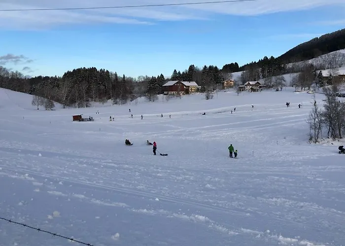 Aigisblick Mit Pool Und Sauna, Direkt Am Skihang 미센 윌햄스
