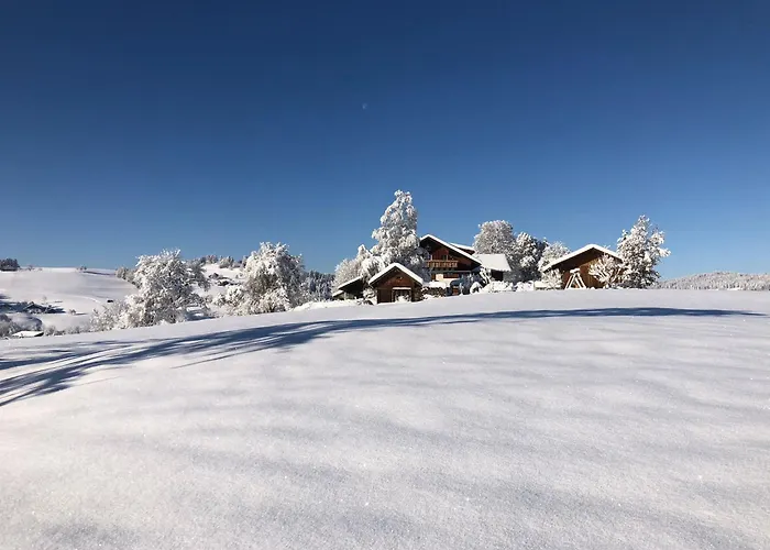 Aigisblick Mit Pool Und Sauna, Direkt Am Skihang Appartamento *